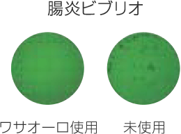 ワサオーロ:腸炎ビブリオに対する抗菌効果の写真