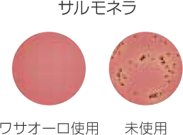 ワサオーロ:サルモネラに対する抗菌効果の写真